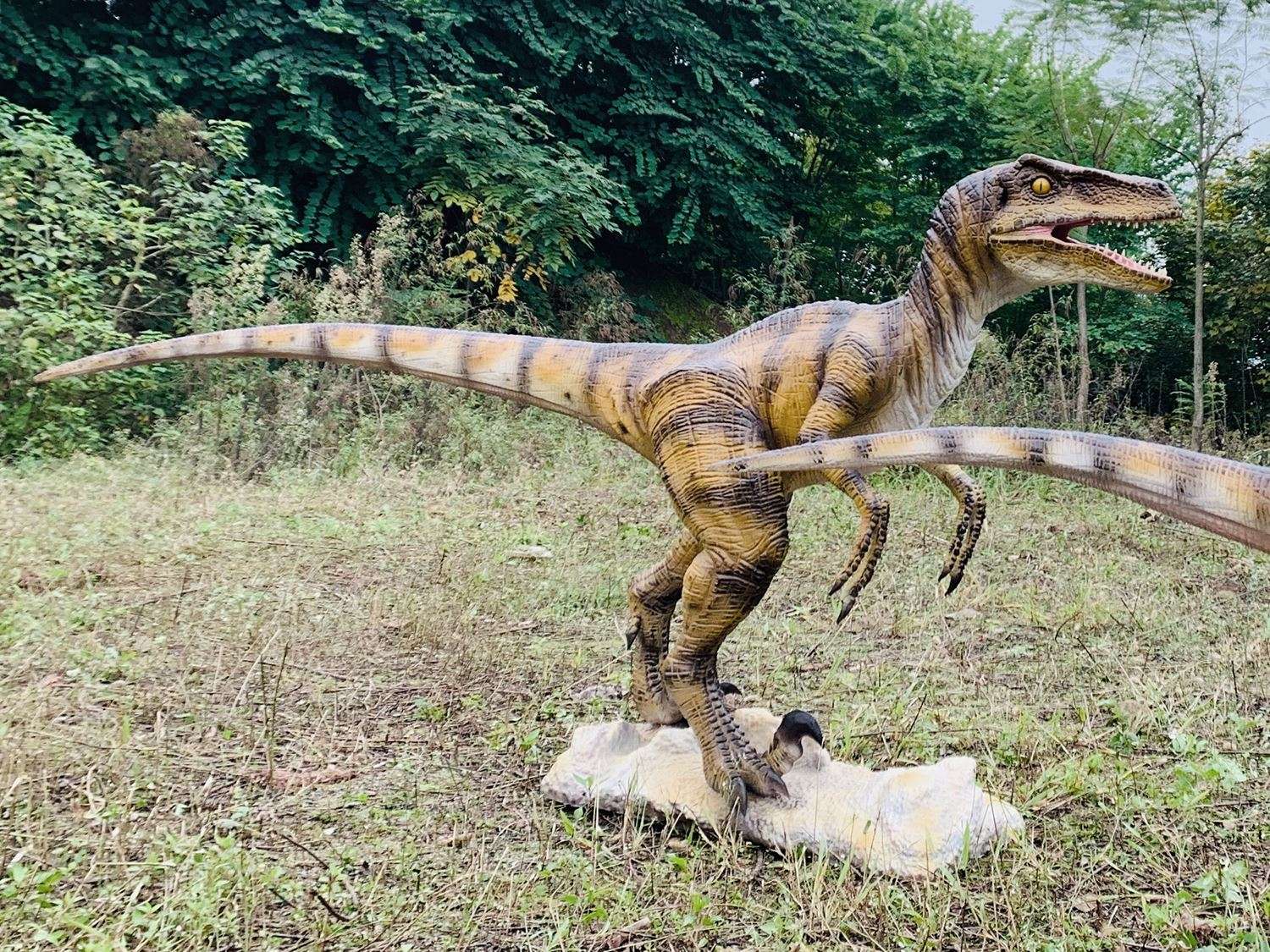Life Size Animatronic Dinosaur