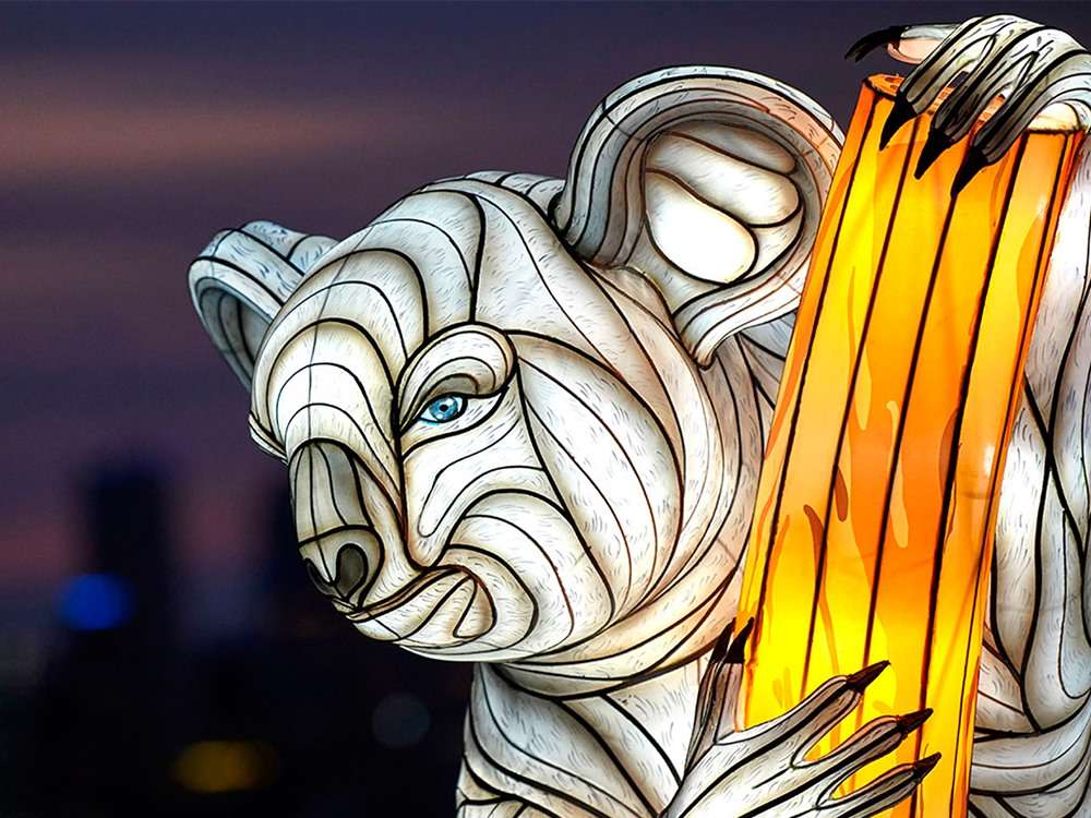 zigong lantern