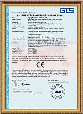 AURORAGONG Certificate 7