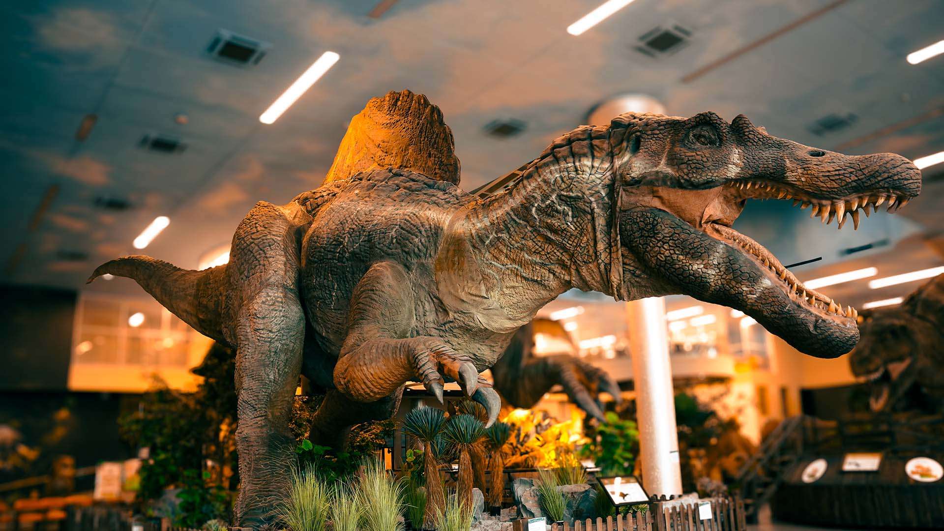 lifelike Exhibition Animatronics Dragon prop model for photography and film production