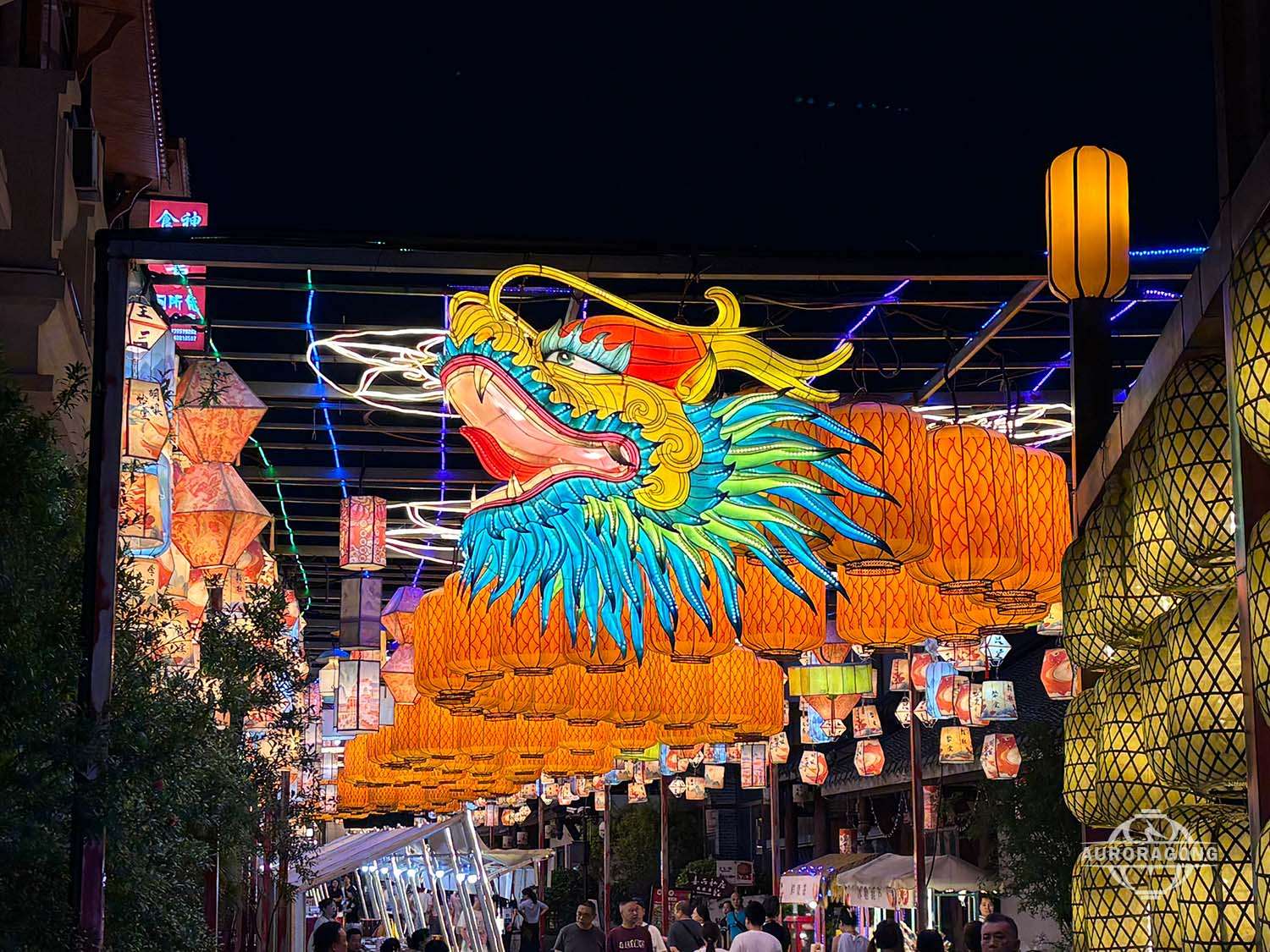 Custom Chinese Dragon Lantern by AuroraGong
