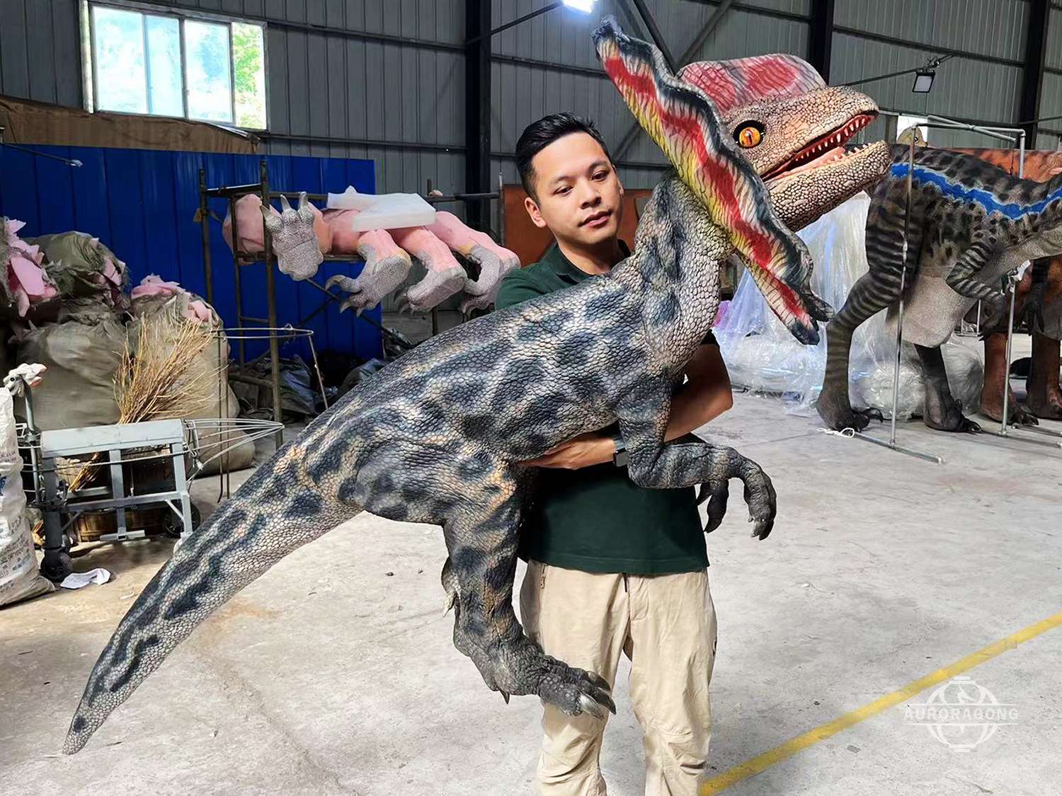 Dilophosaurus dinosaur hand puppet for classroom teaching