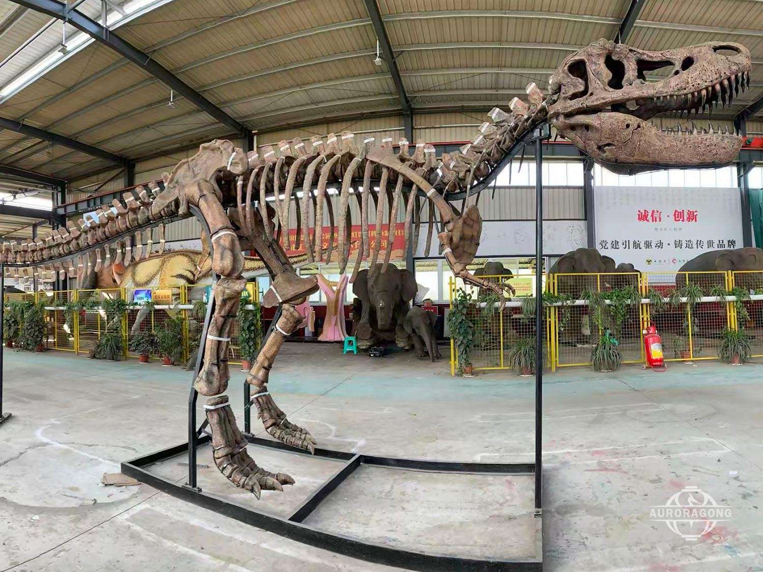 Hand-made Dinosaur Skeleton Replica Full Size T-rex Skeleton