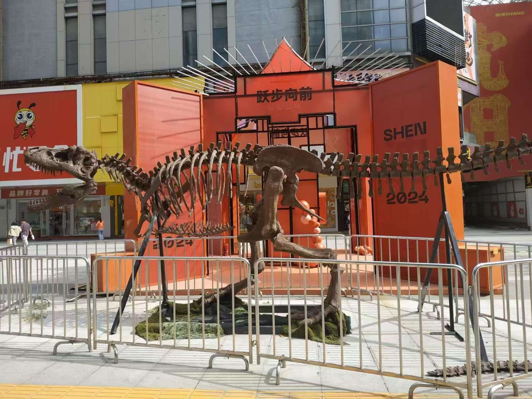 Large Triceratops dinosaur skeleton replica display for shopping mall exhibition and themed events