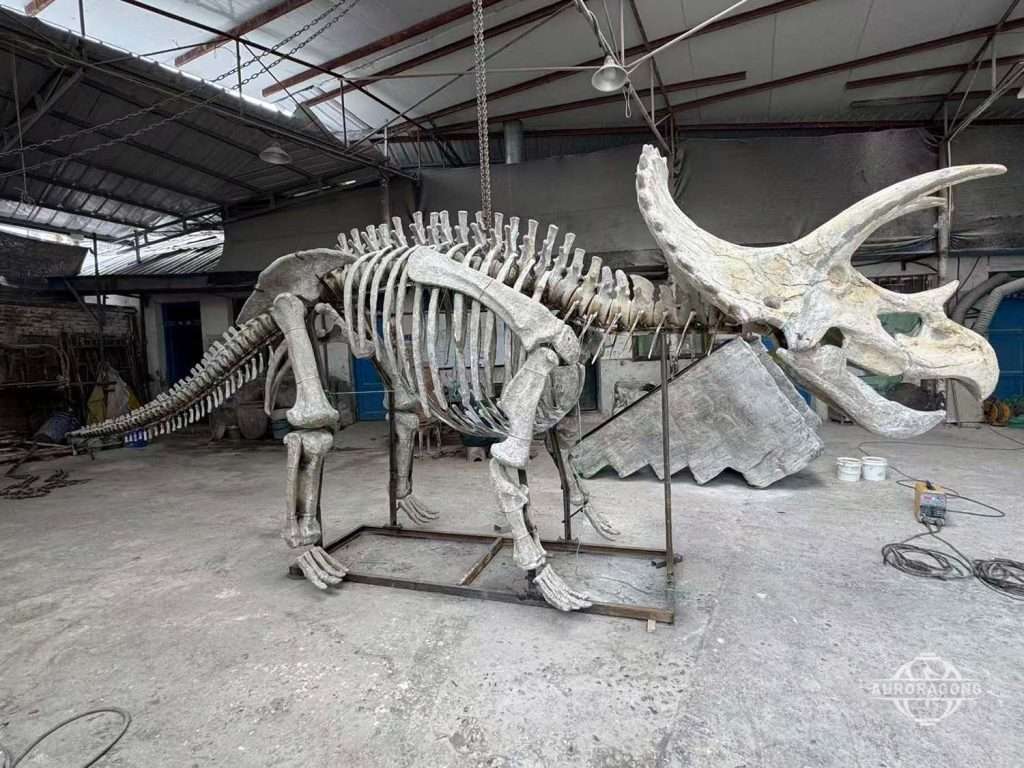 Close-up of life-sized Triceratops dinosaur skeleton replica showing realistic fossil textures in the factory
