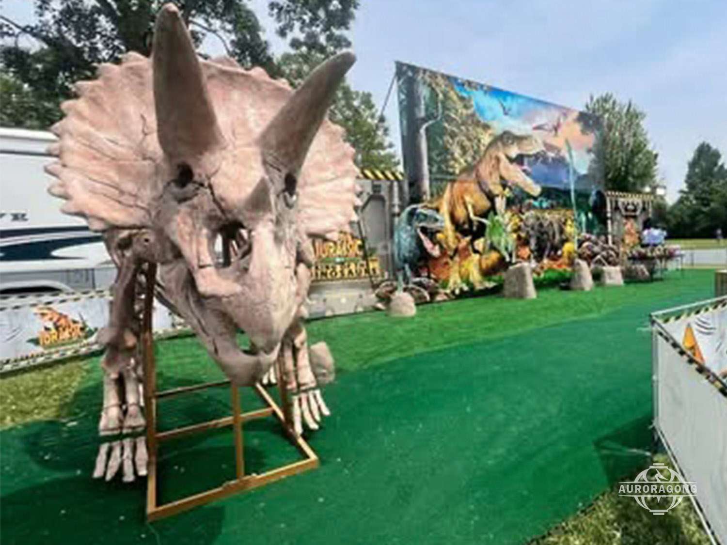 Life-sized Triceratops skeleton replica displayed in an outdoor dinosaur theme park