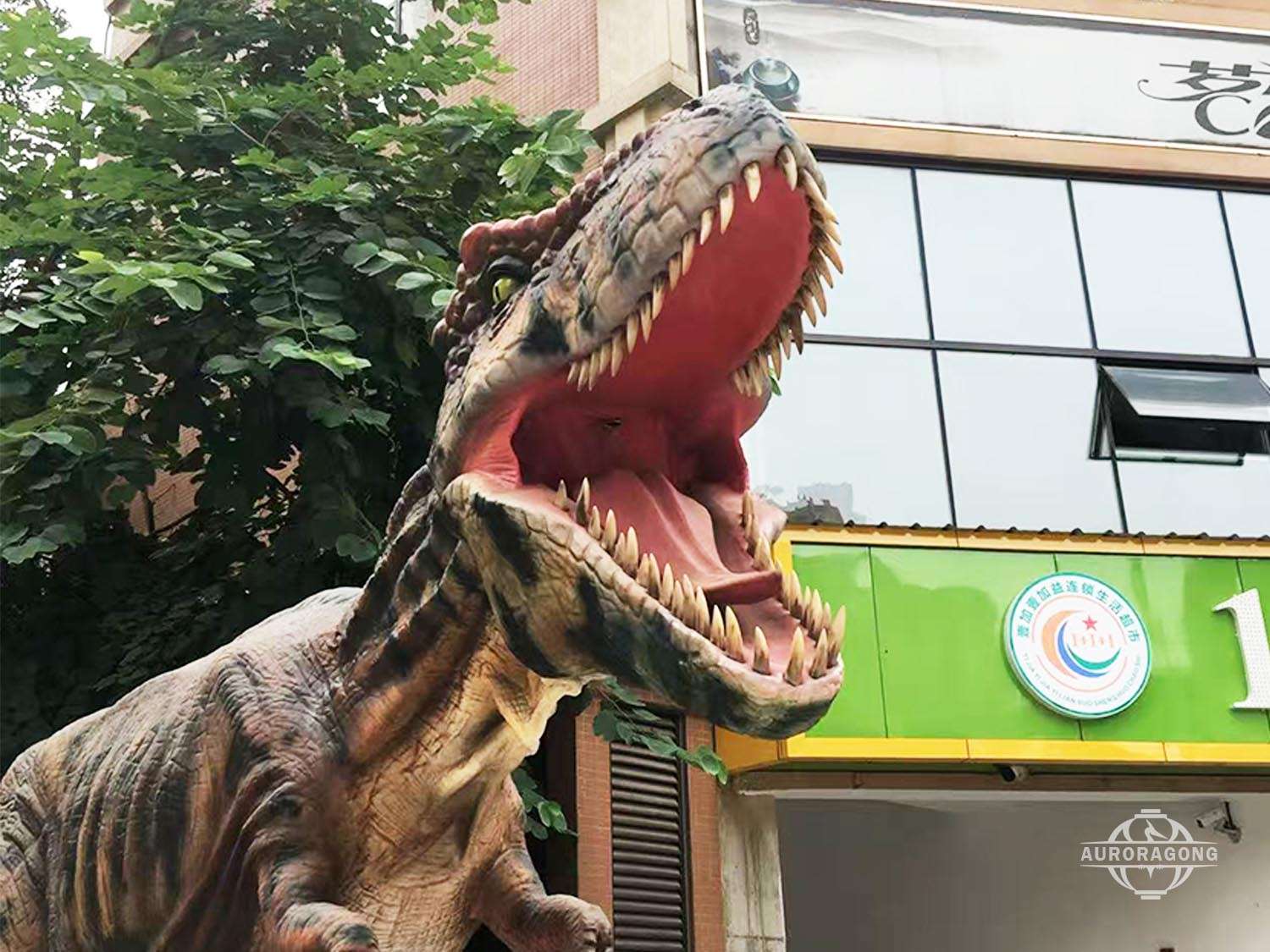 Lifelike Animatronic T-rex Model