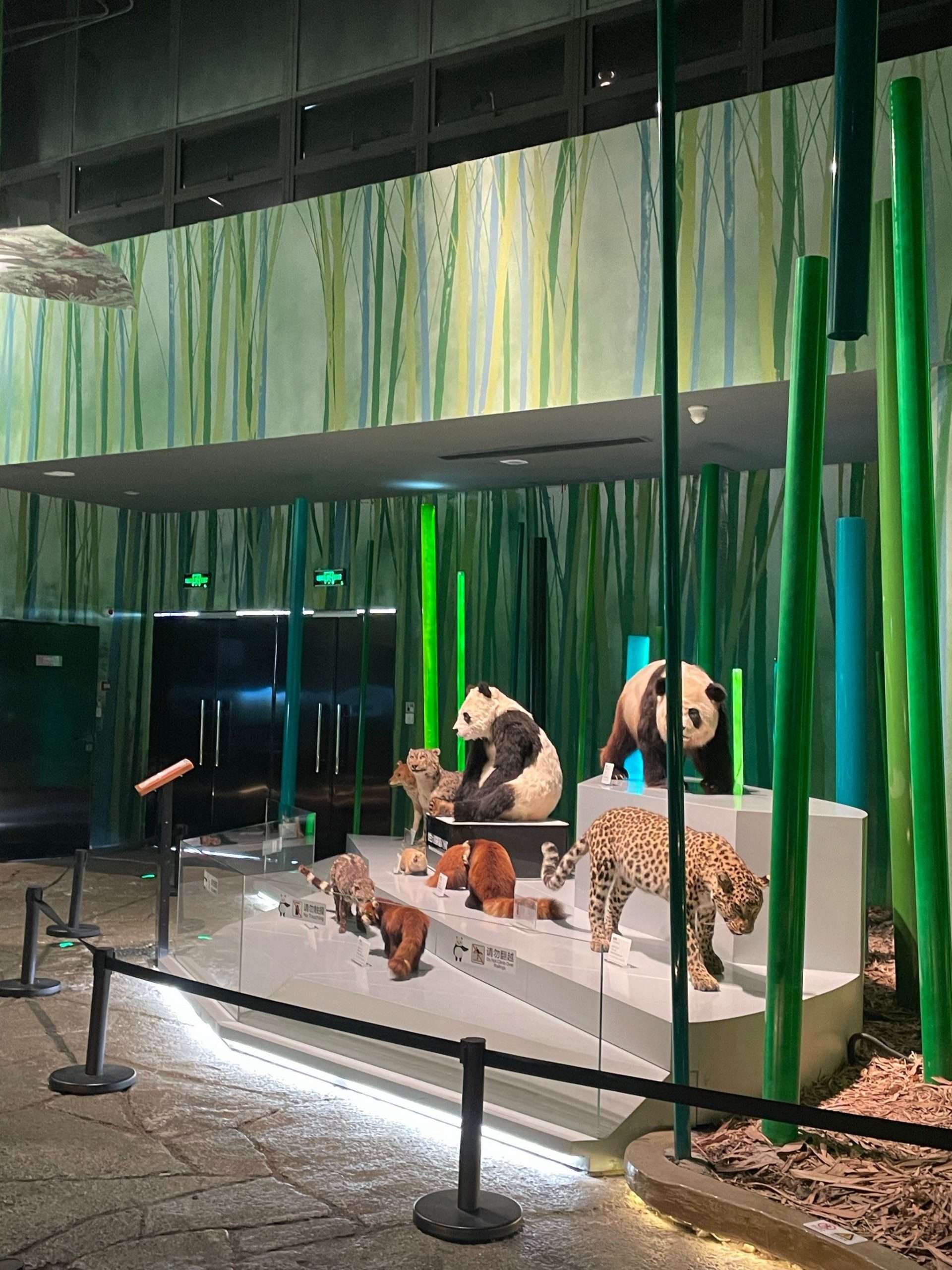 life size leopard fiberglass statue indoor exhibition display