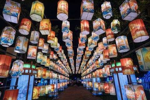 图片11