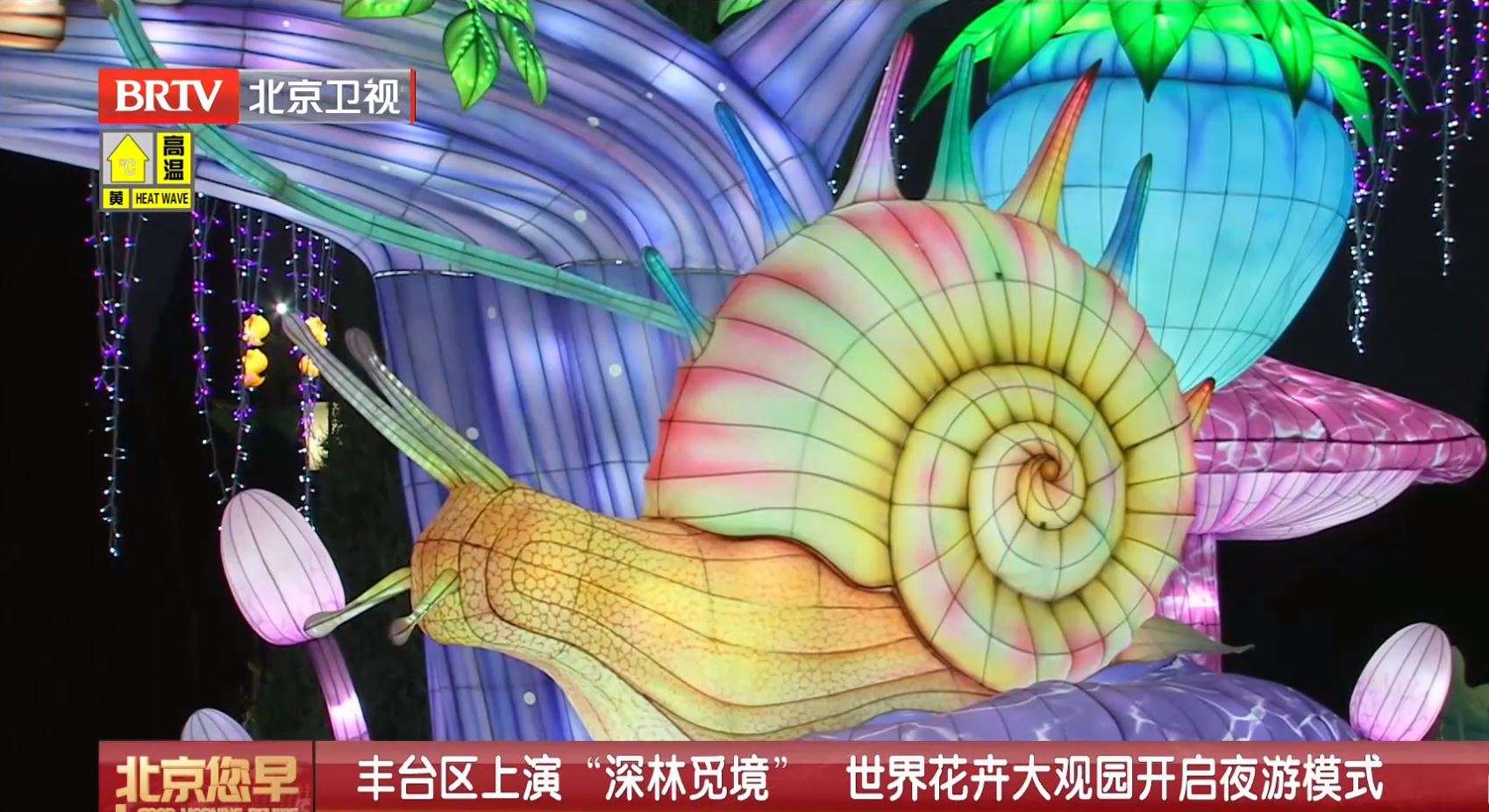 图片22