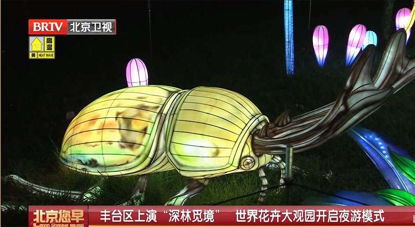 图片25
