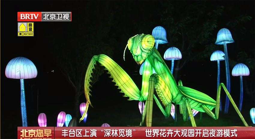图片26
