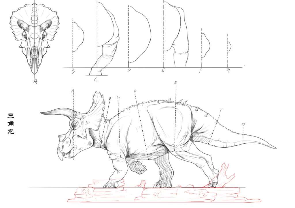 Triceratops model design drawings