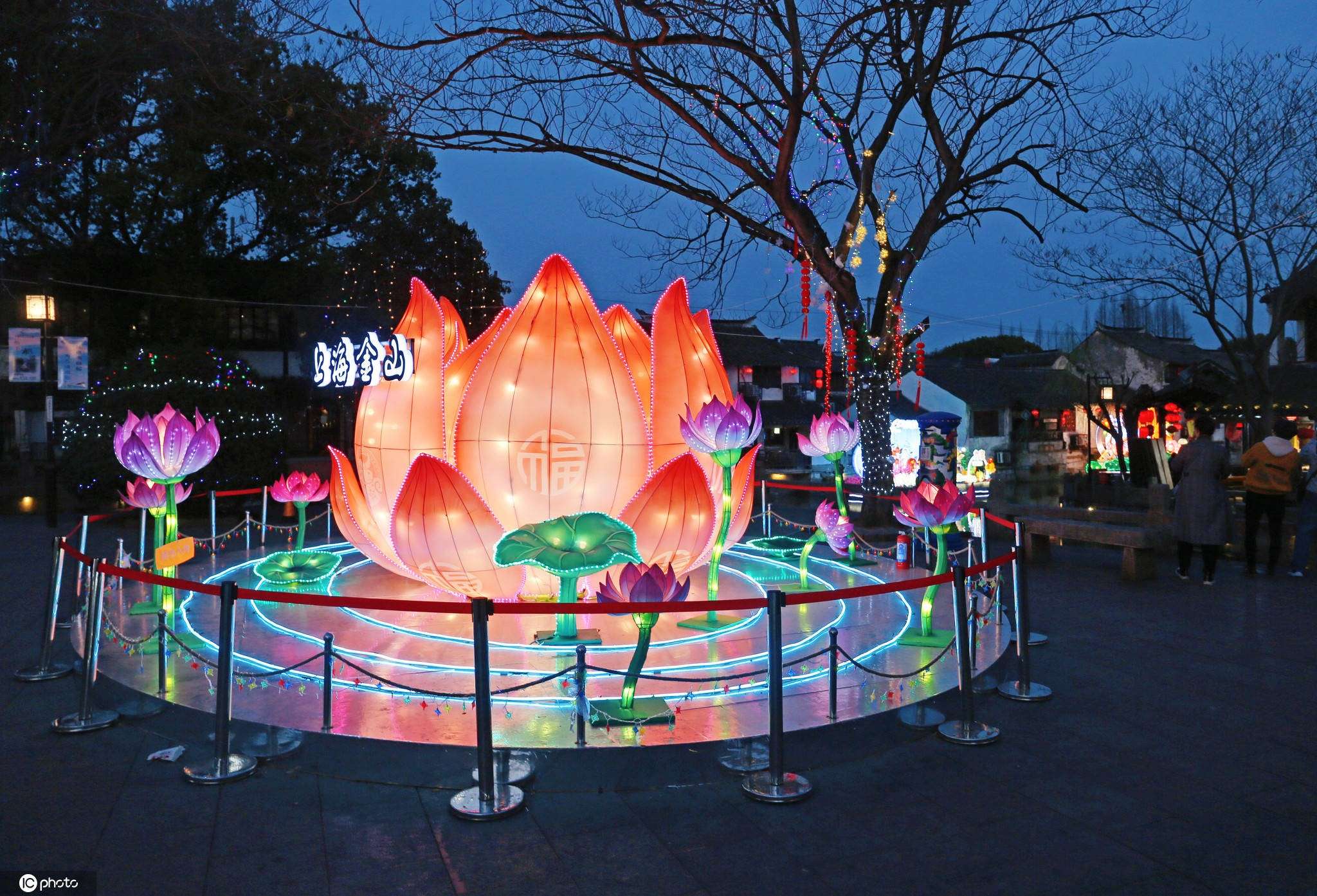 Cultural & Art Exhibitions