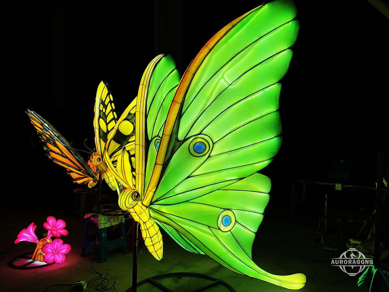 Zoo Themed Butterfly Lantern