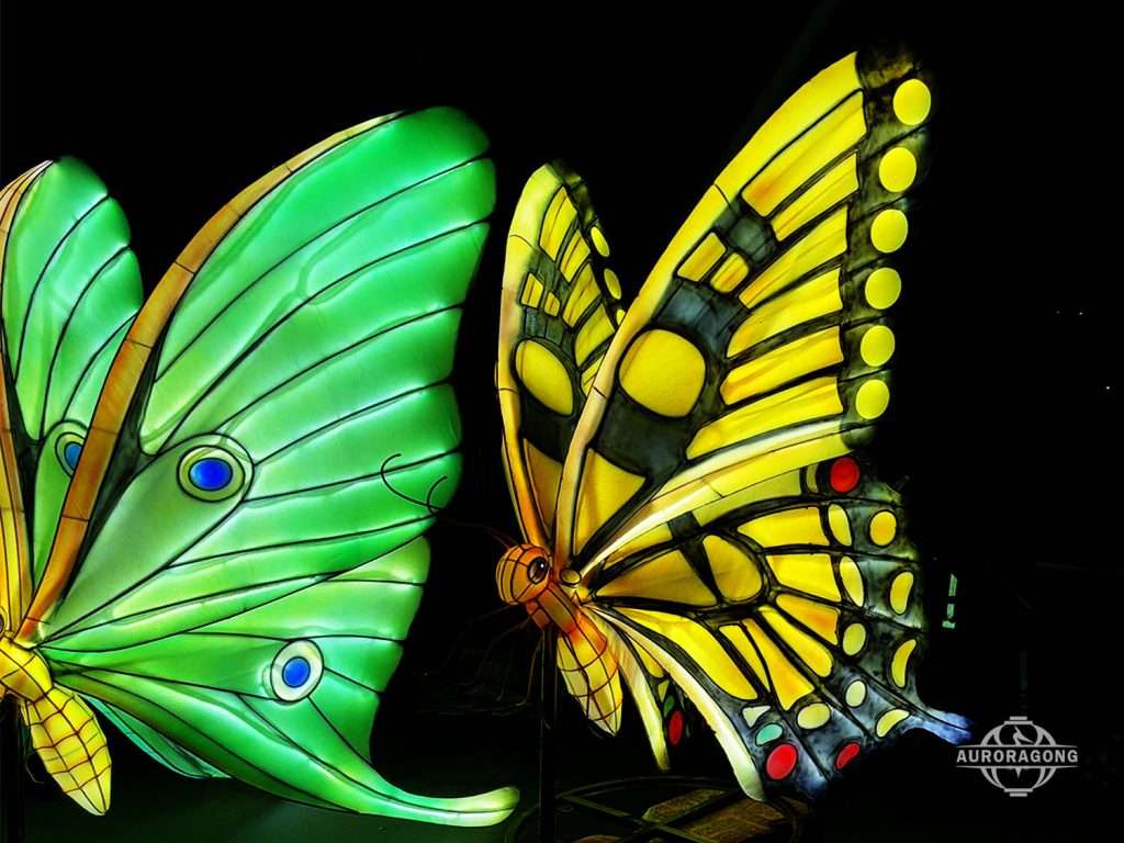 Zoo Butterfly Lantern