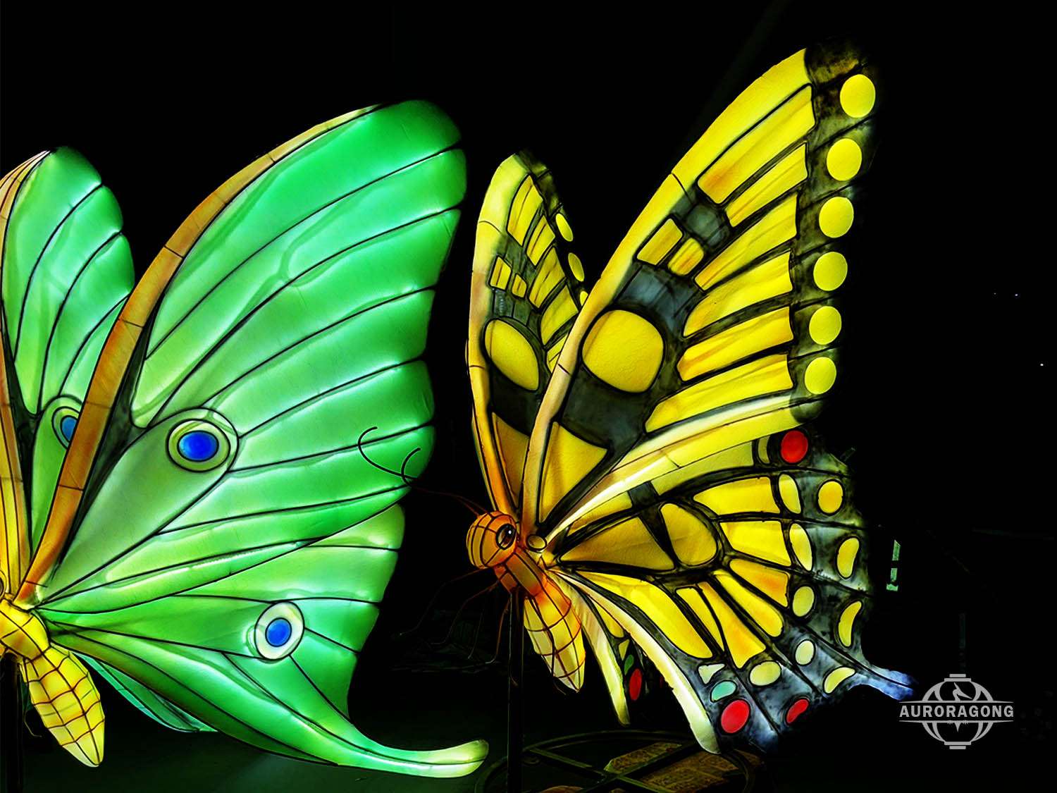 Zoo Butterfly Lantern