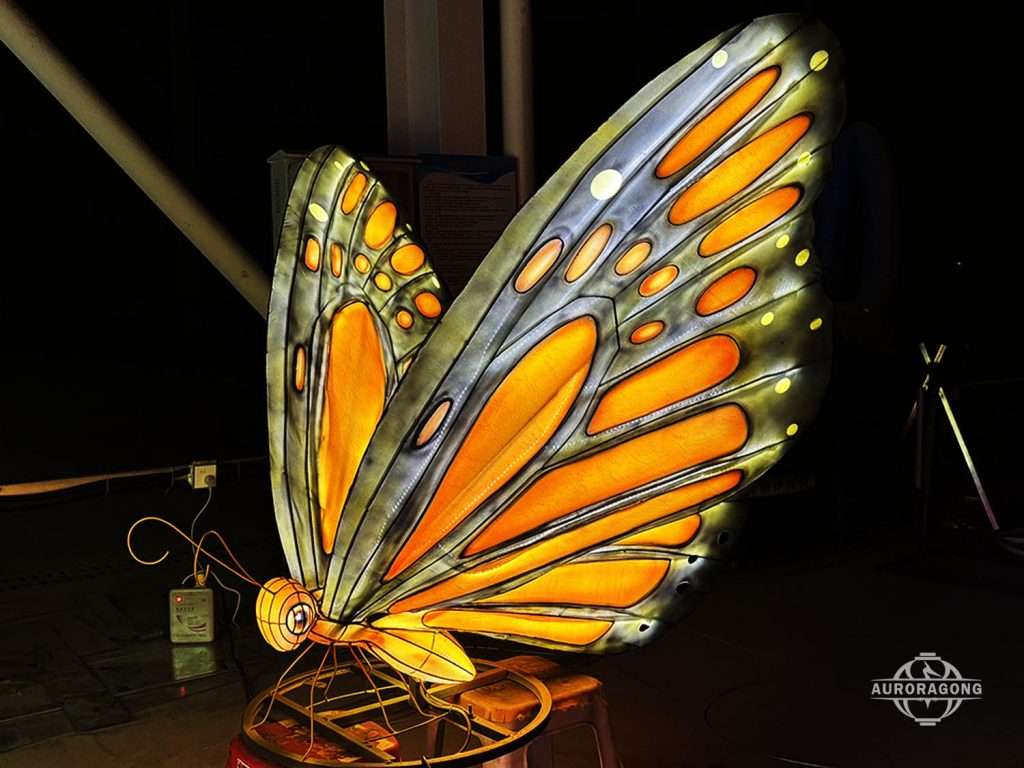 Butter Lantern in zoo