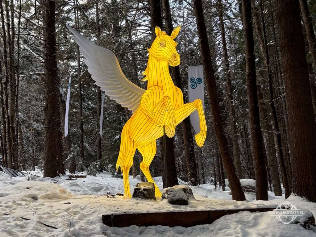 Pegasus Lantern5