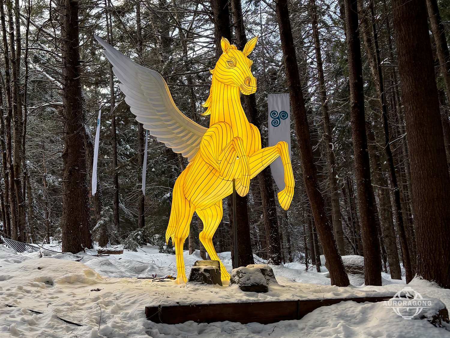 Pegasus Lantern5