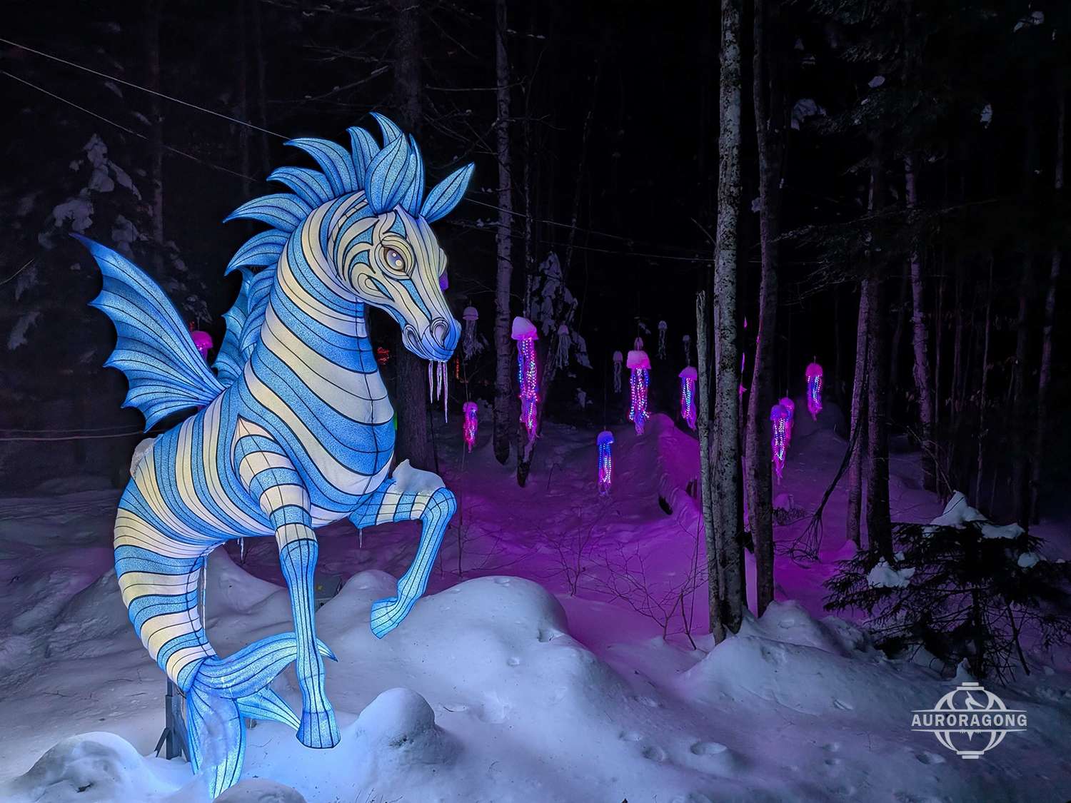 Seahorse Lantern1
