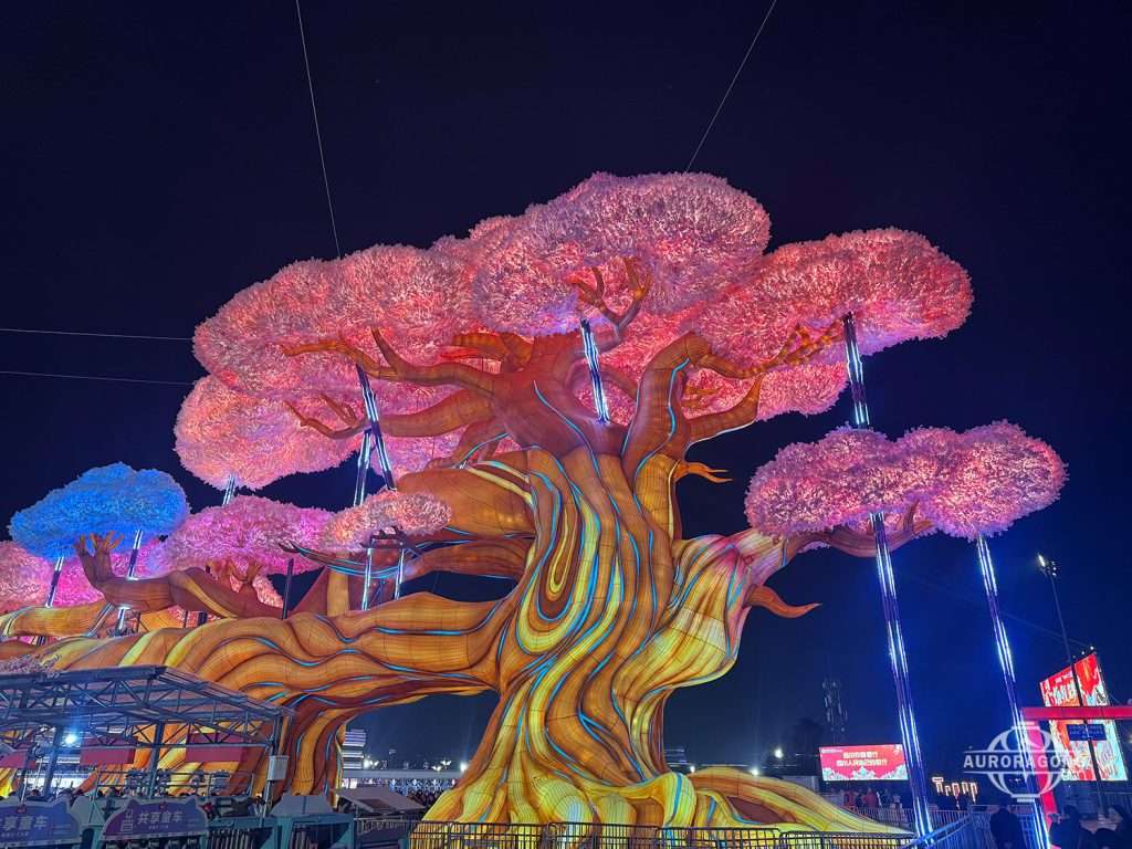pink Chinese Tree lanterns