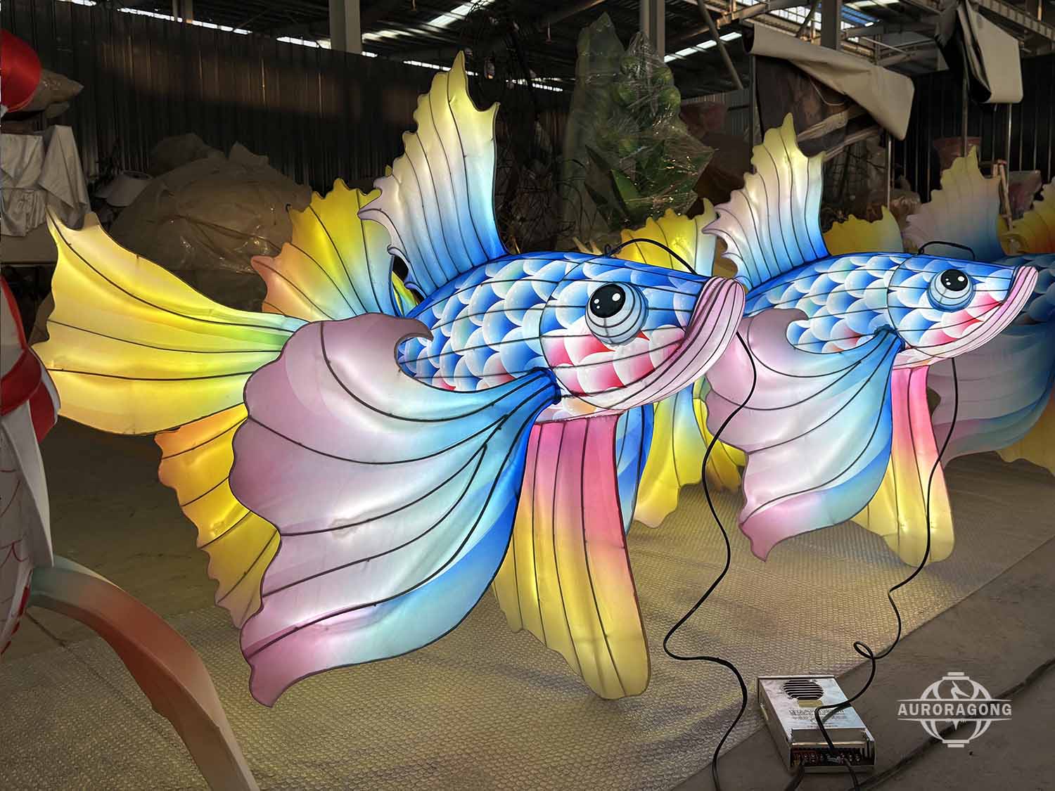 Two illuminated betta fish lanterns with blue scaled bodies and colorful flowing tails