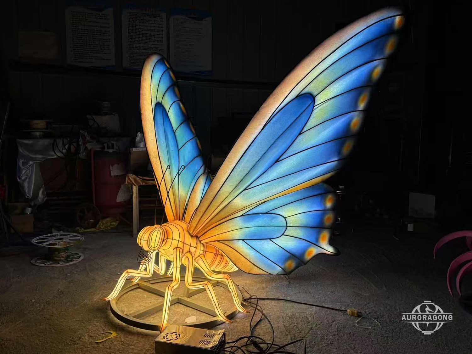 Butterfly Lantern Christmas Lights Festival