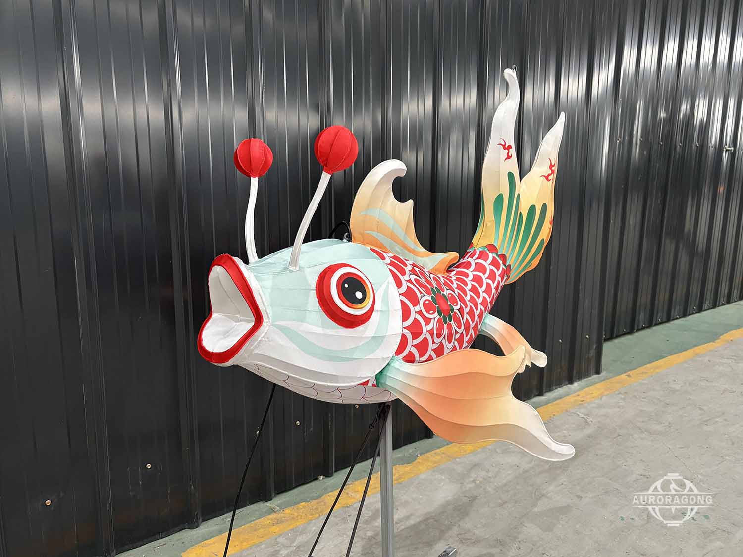 Front view of illuminated carp lantern with red barbels and open mouth in workshop display