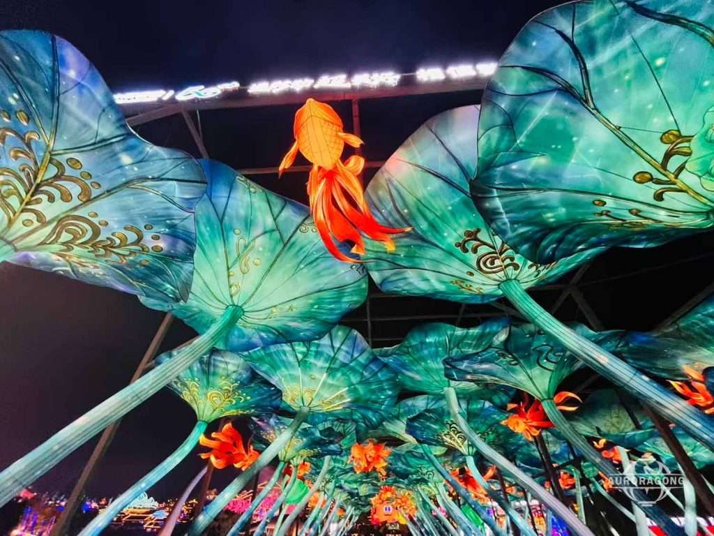 Illuminated lotus leaf and goldfish corridor lantern installation viewed from below at night