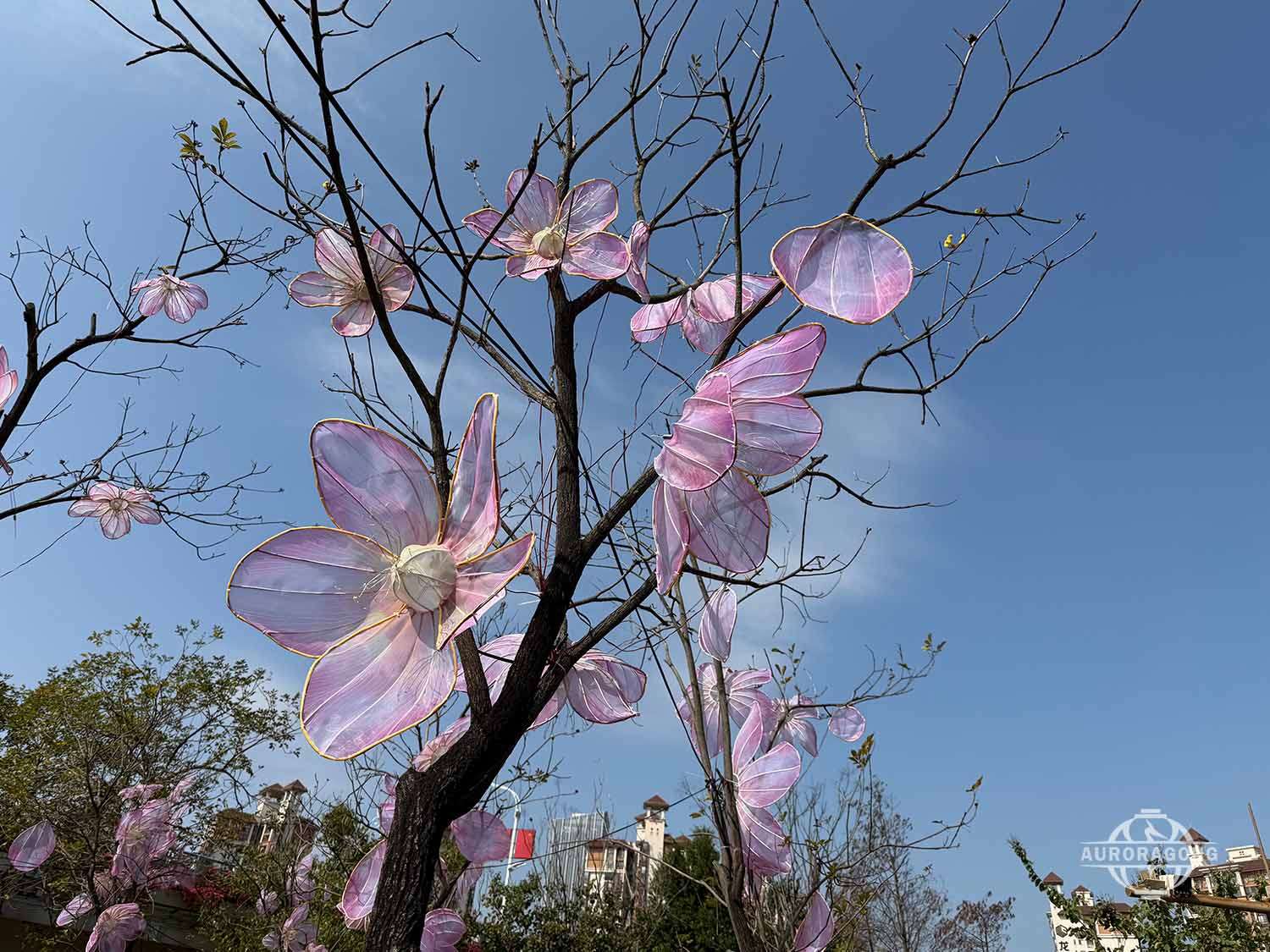 Peach Blossom Lantern during the day