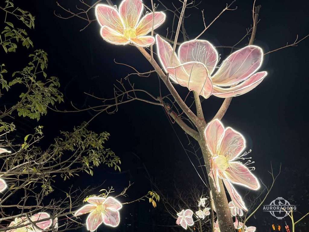 Custom illuminated pink and white peach blossom lanterns hanging on tree branches at night