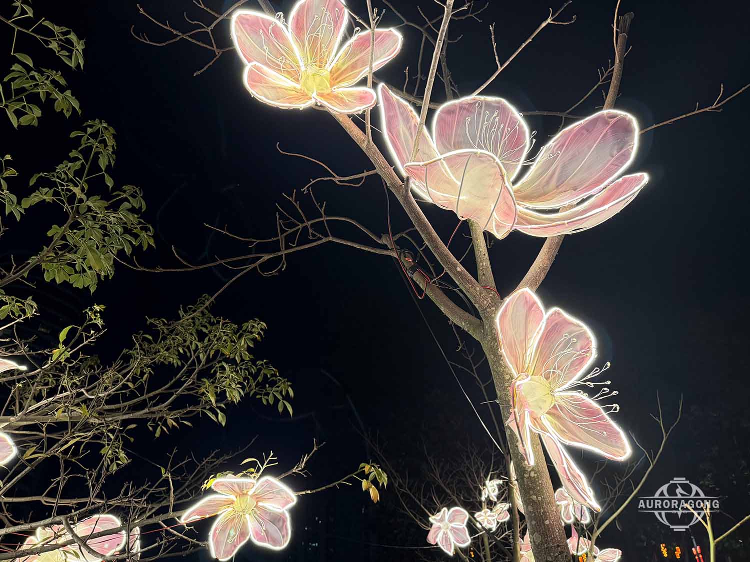 Custom illuminated pink and white peach blossom lanterns hanging on tree branches at night