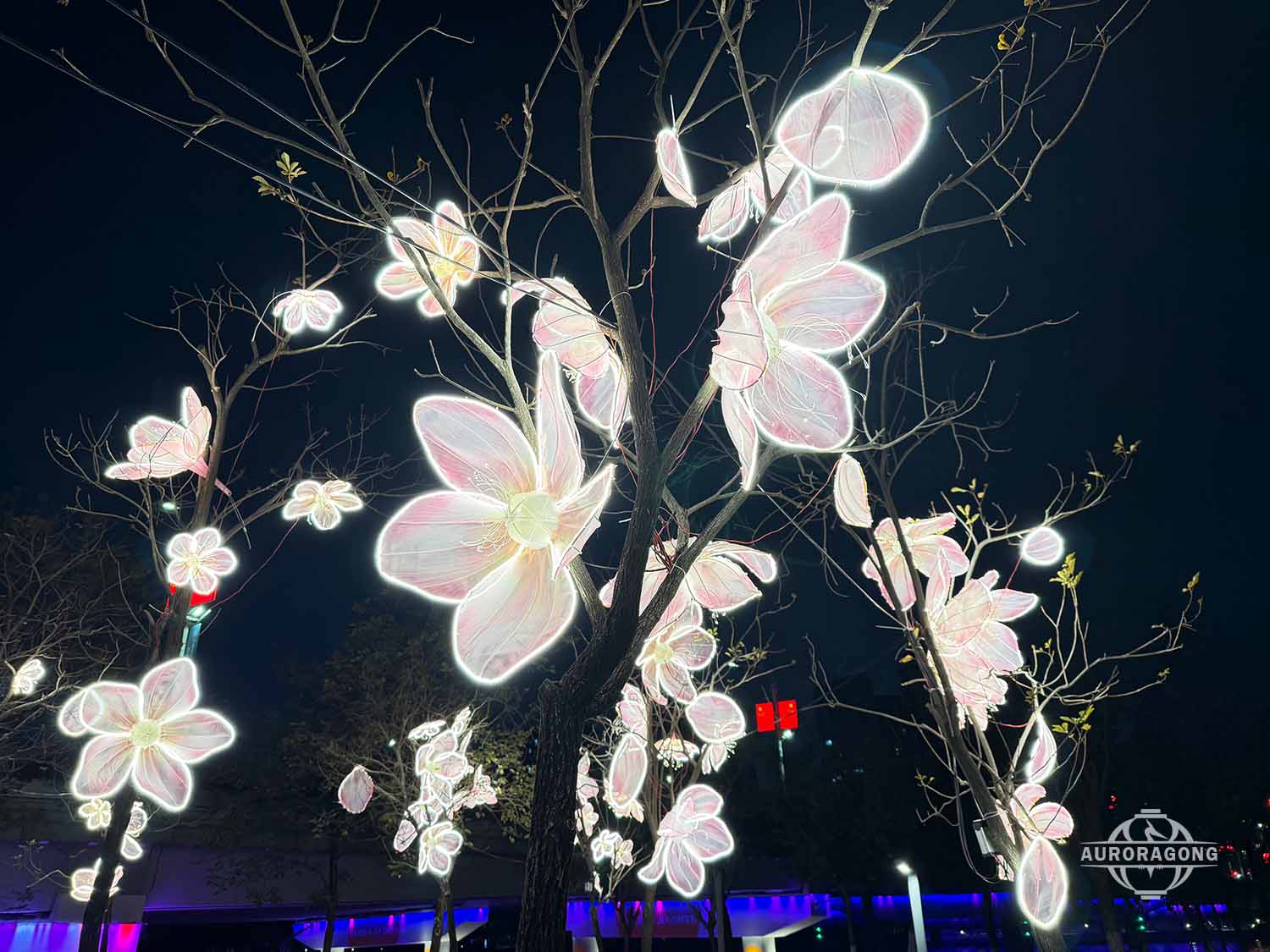 Peach Blossom Lantern