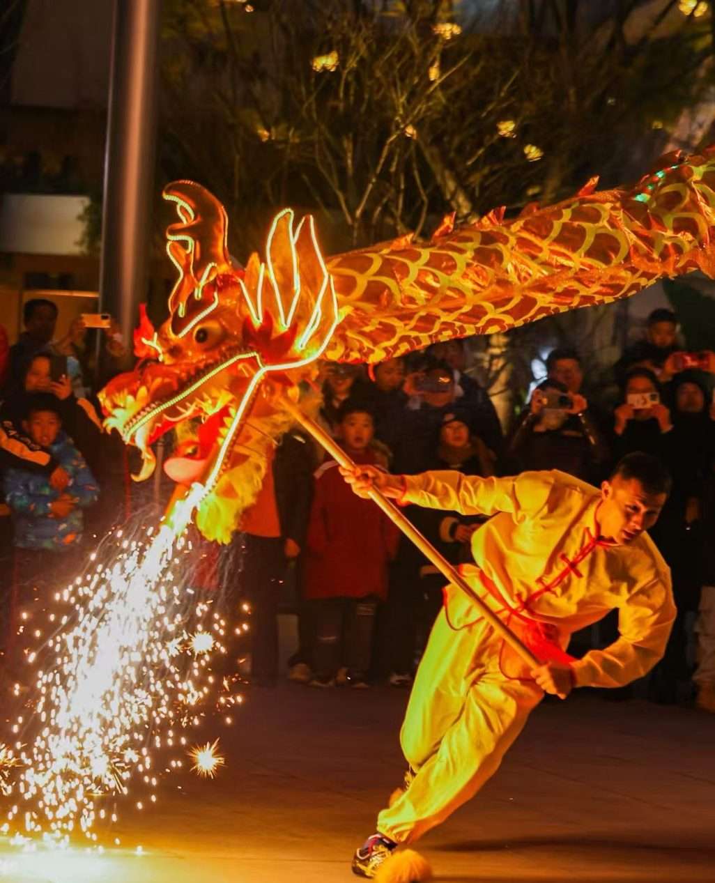 Elf Lantern Festival Activities
