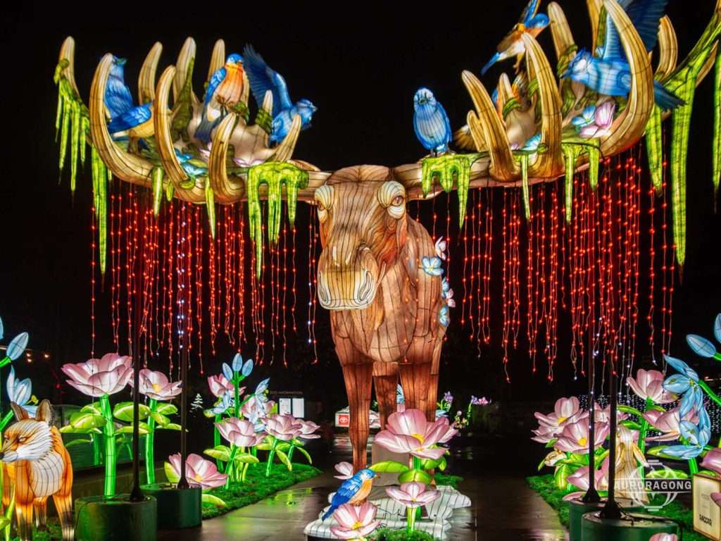 Forest Elk Lantern Display
