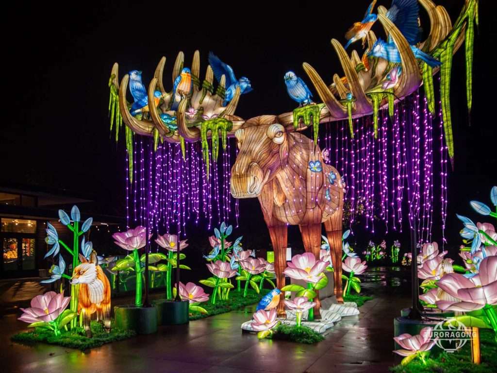 Forest Elk Lantern lighting effects
