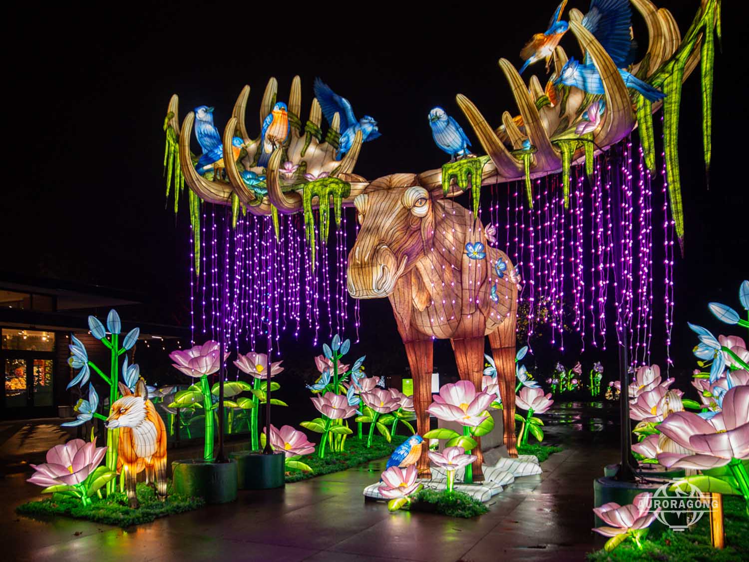 Forest Elk Lantern lighting effects