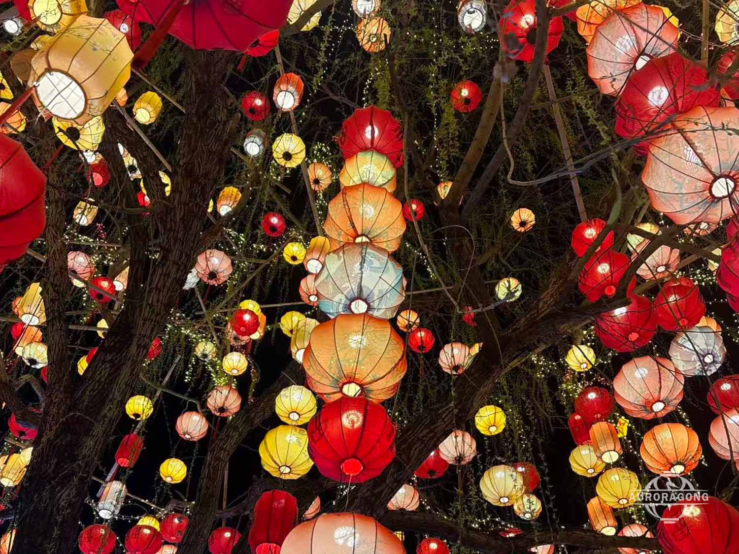 Chinese Lantern Tree Installation