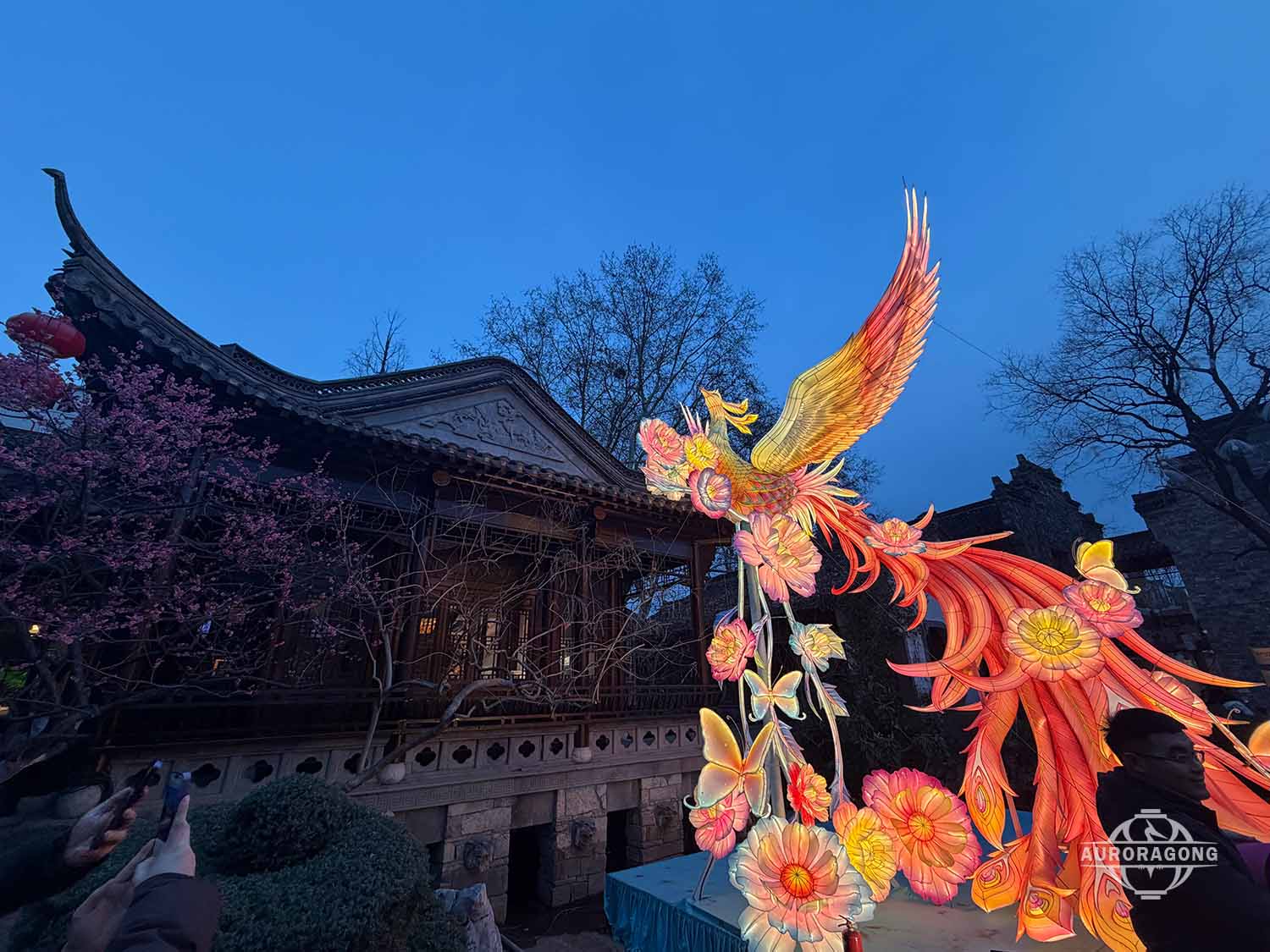 Custom illuminated phoenix and flower lantern with traditional Chinese architecture and plum blossom trees at dusk
