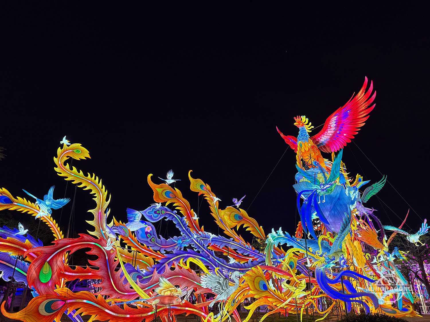 Custom Giant Mythical Phoenix Lantern for Festivals
