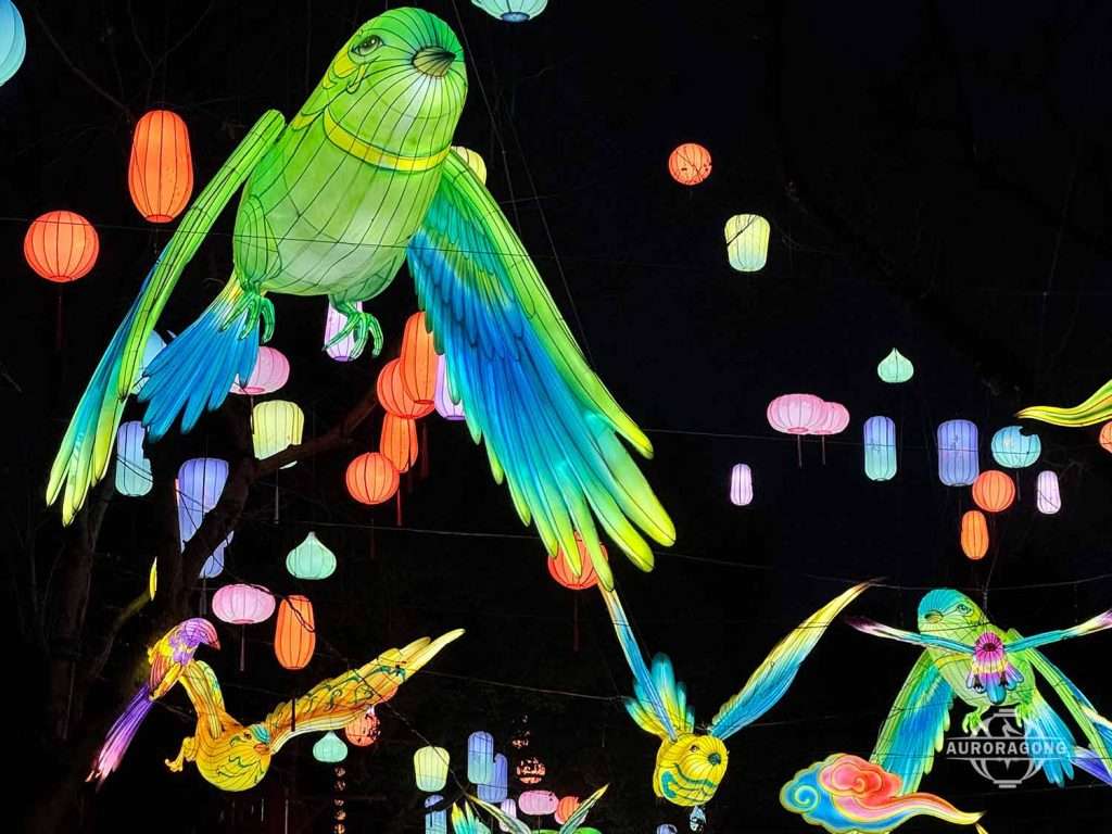 Bird Lantern