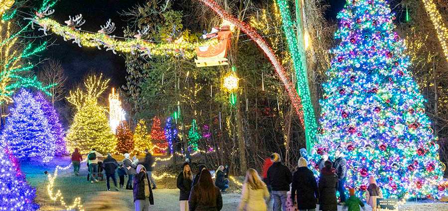 City Holiday Celebrations