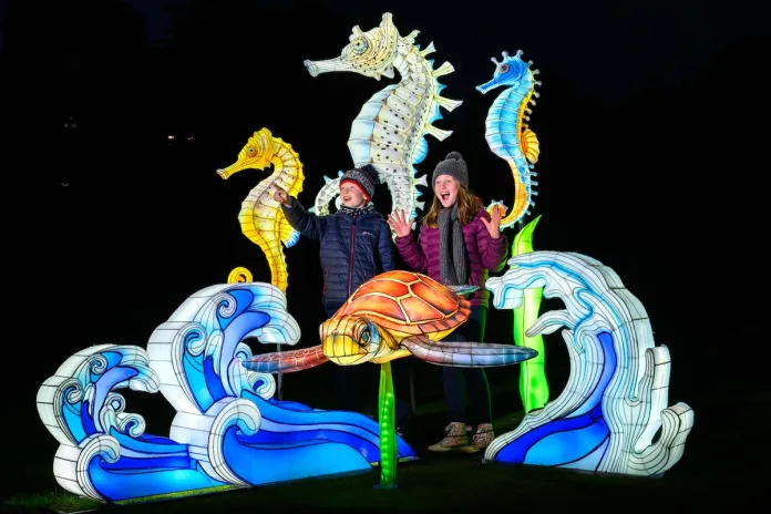 Ocean themed lantern photo zone with IP character lighting installation