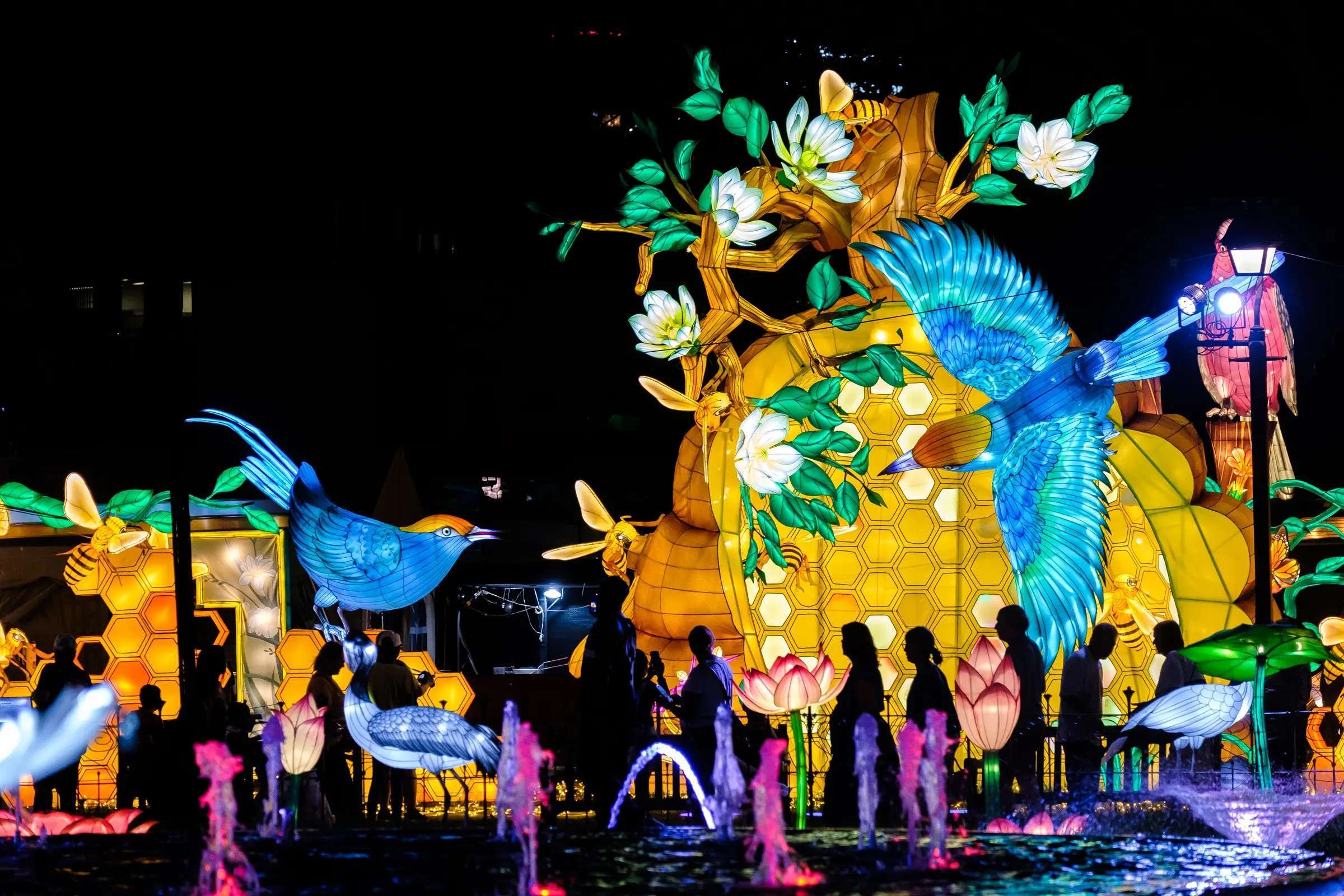 Zoo Lantern Festivals