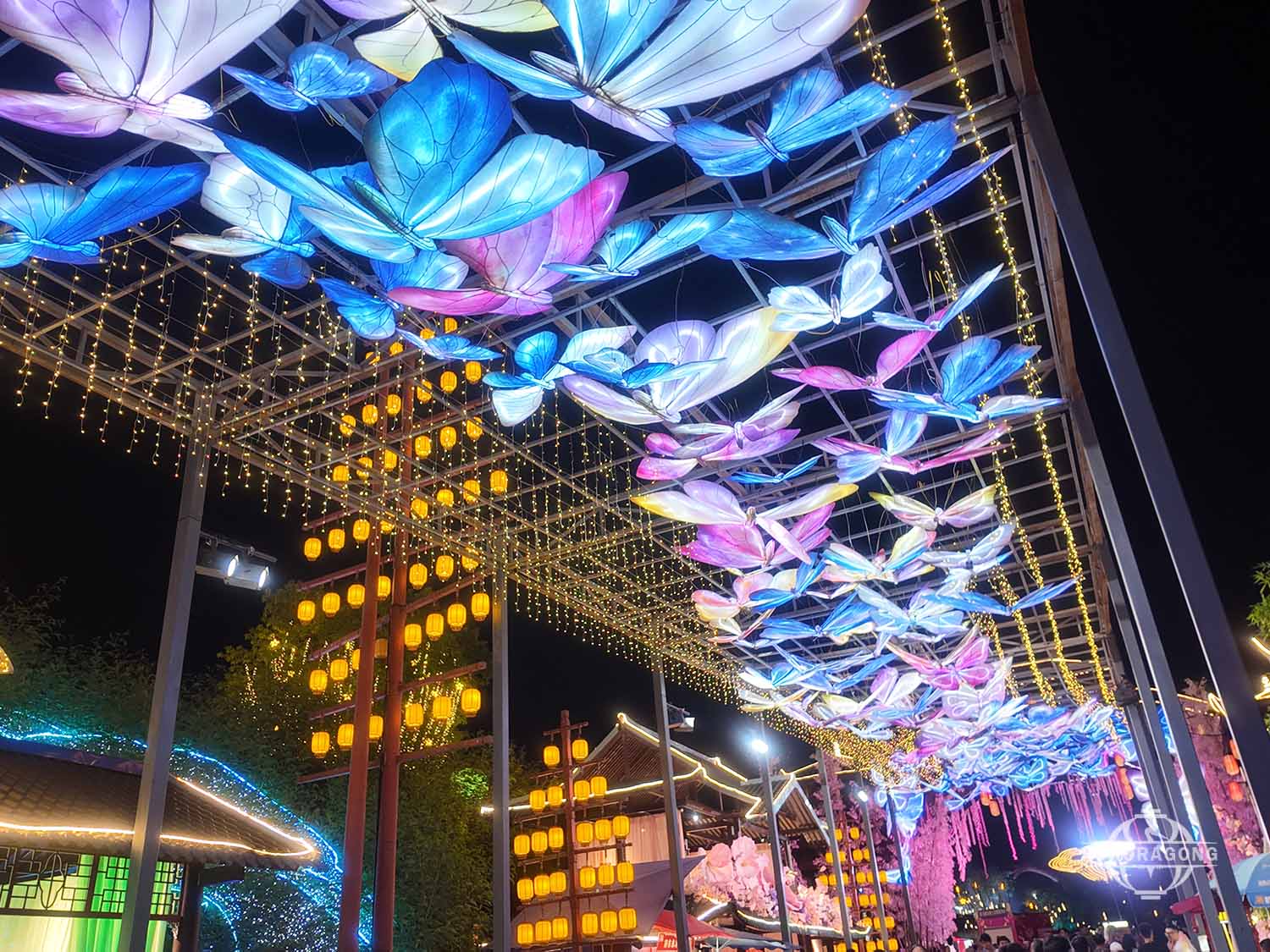 Butterfly Lantern2