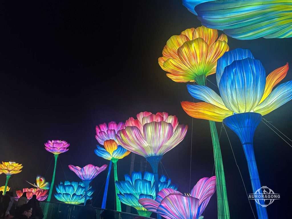Flower Lantern