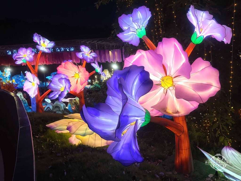 Multiple illuminated pink and purple flower lanterns with detailed petals at a night festival garden