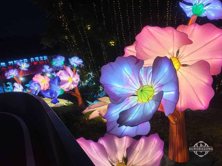 Outdoor festival display with large pink and blue illuminated flower lanterns and string lights