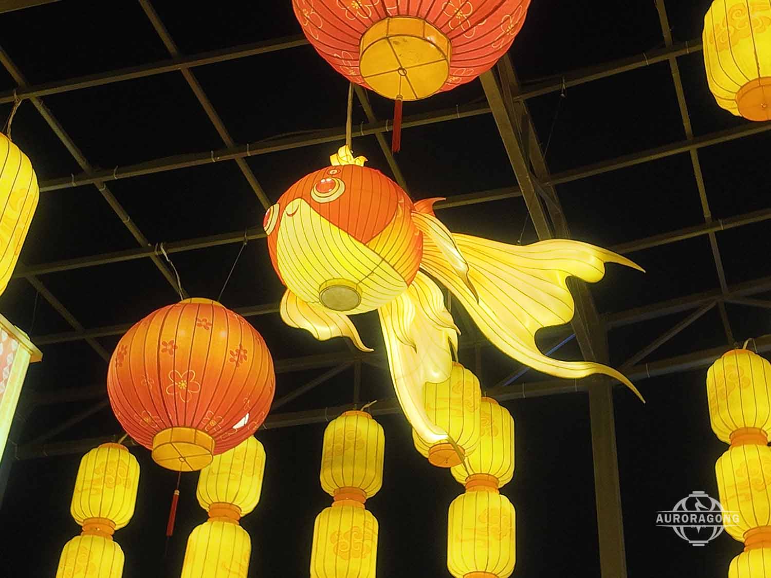 Carp Lantern for Lantern Festivals